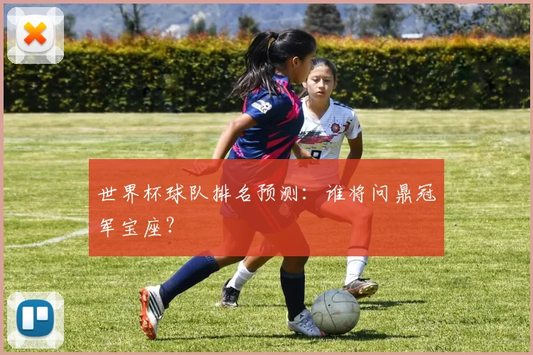 世界杯球队排名预测:谁将问鼎冠军宝座?